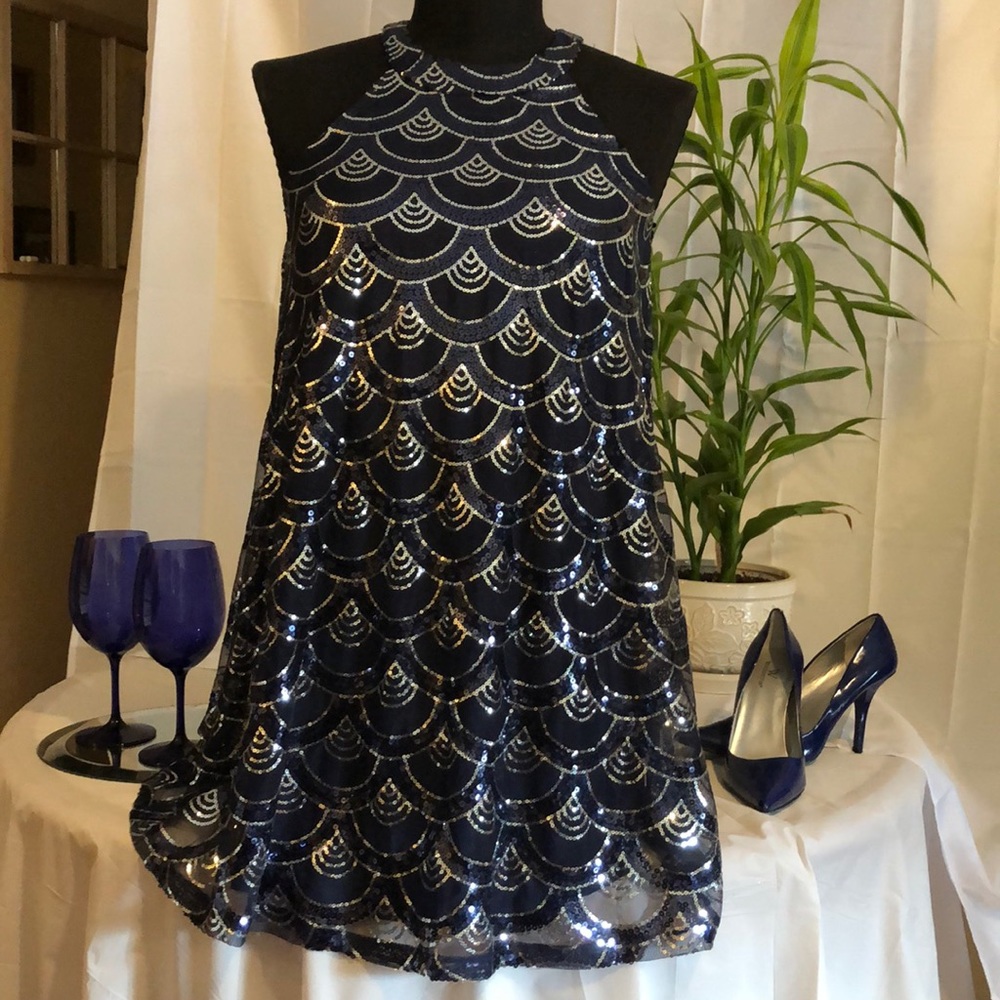 ✨🌟 Beautiful Blue and silver sequin Party dress